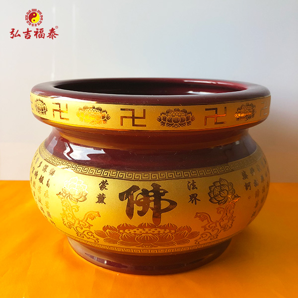 6������¯��¯