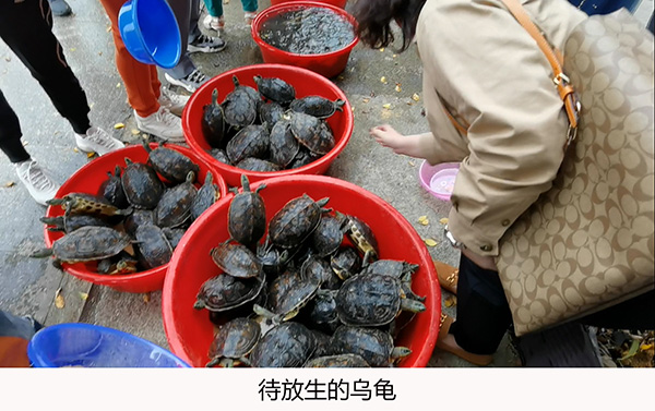 �뼪��̩ح��۹�ѧ��ˮѧԺ2021 �ꡰ��̧ͷ�������ȡ��Բ���ɹ�